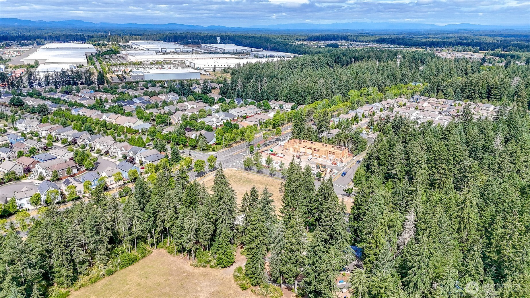 3692 London Loop Northeast Lacey, WA 98516 - Photo 35 of 36