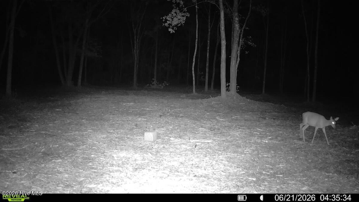 29 Guinea Mill Road Ernul, NC 28527 - Photo 26 of 27 Gallery Image 26