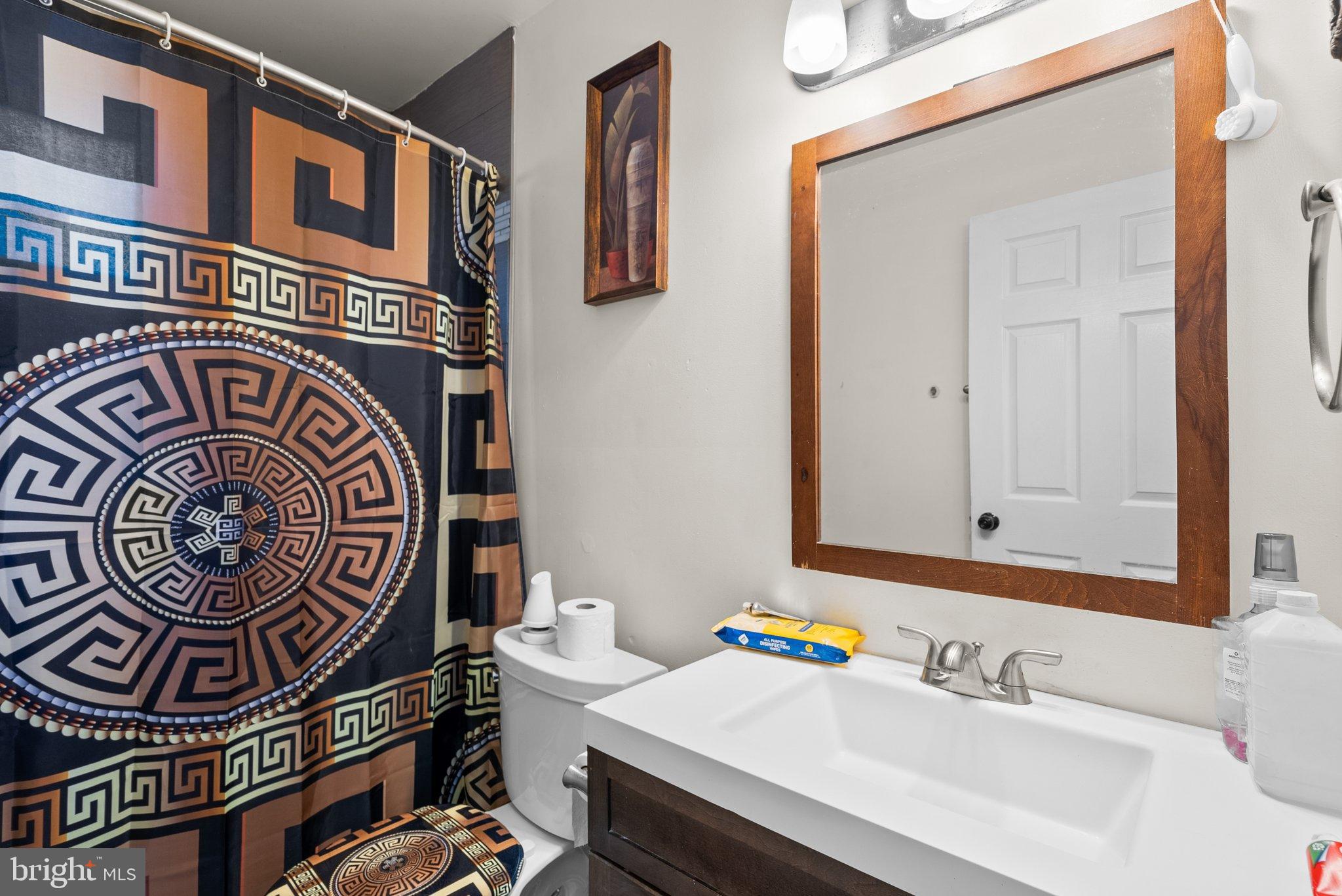 5122 Decatur Street Hyattsville, MD 20781 - Photo 14 of 22 a bathroom with a sink and a mirror