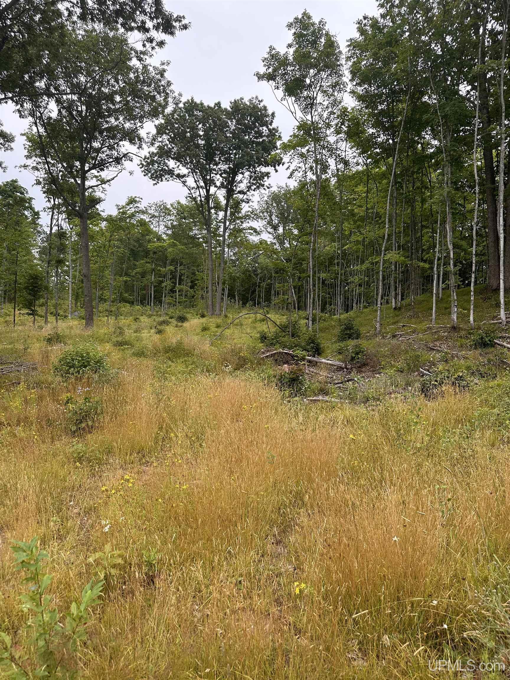 Tbd Co Rd 496 (b) Road, Unit PARCEL B Champion, MI 49814 - Photo 18 of 33