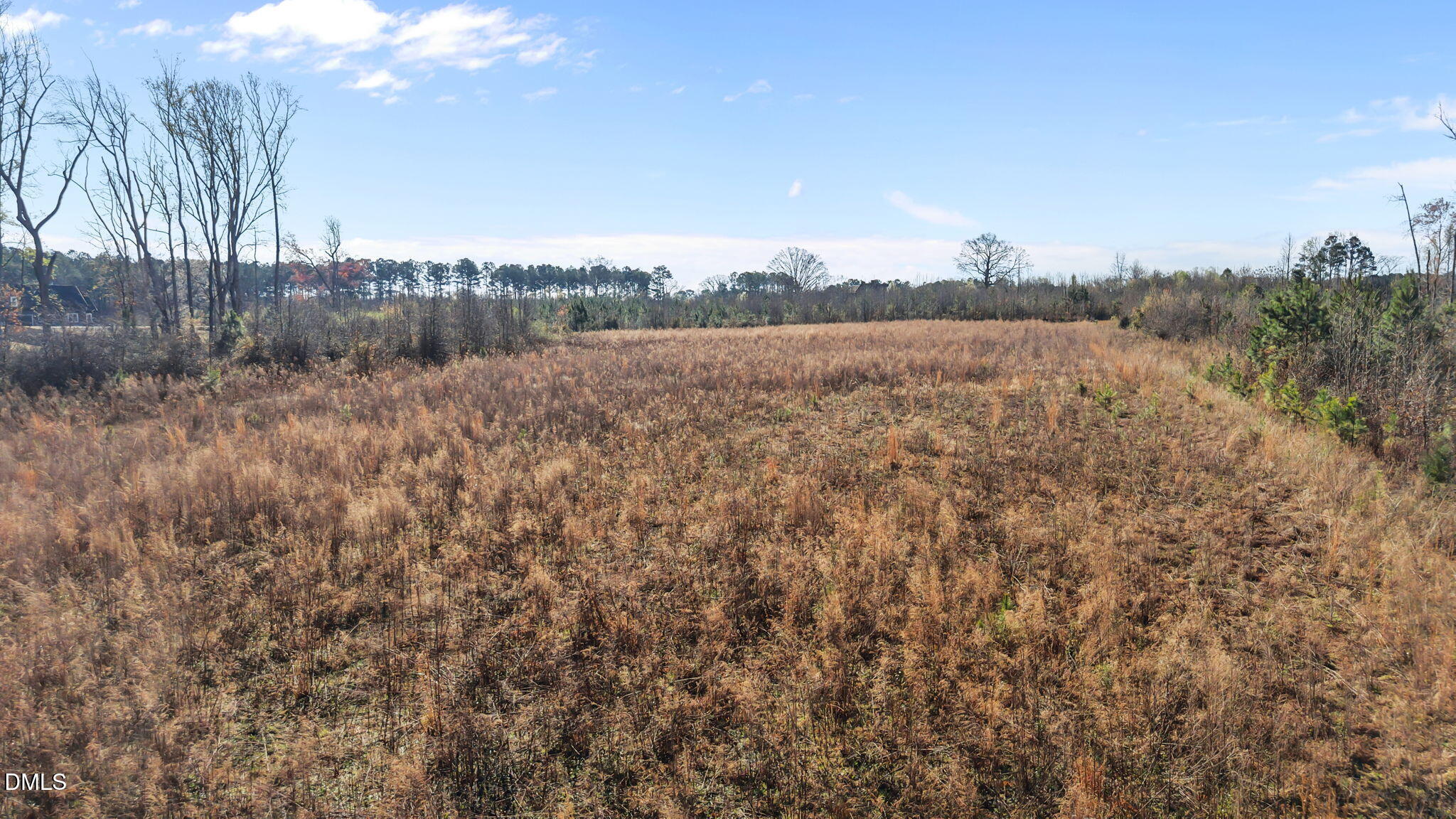 0 Dukes Lake Road Zebulon, NC 27597 - Photo 4 of 14