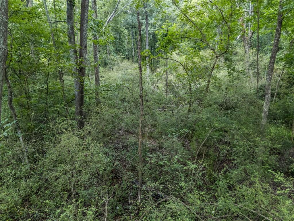 103 East Freeman Street Newnan, GA 30263 - Photo 9 of 11