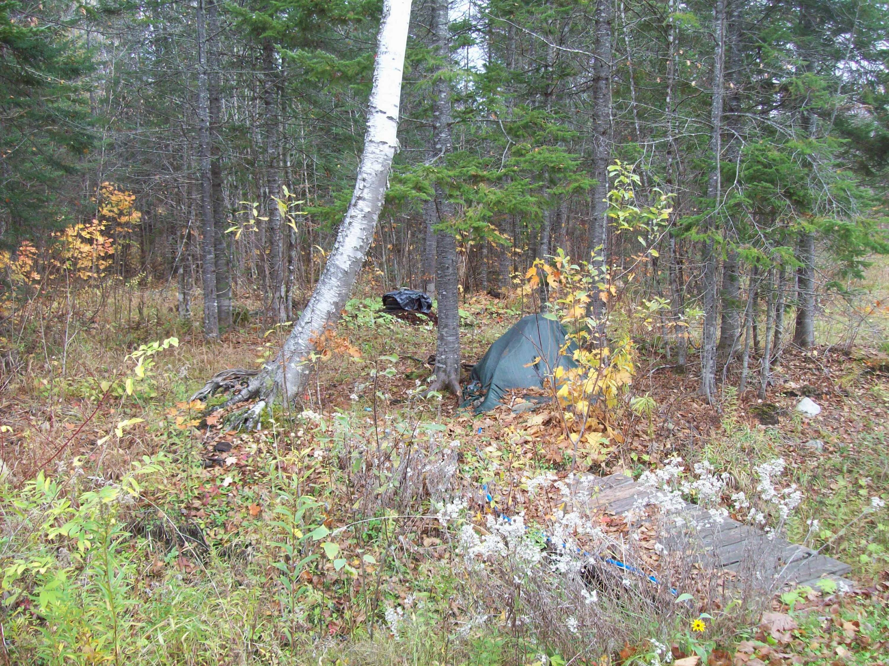 Tbd Mountain Road Mount Chase, ME 04765 - Photo 25 of 29 100_2426