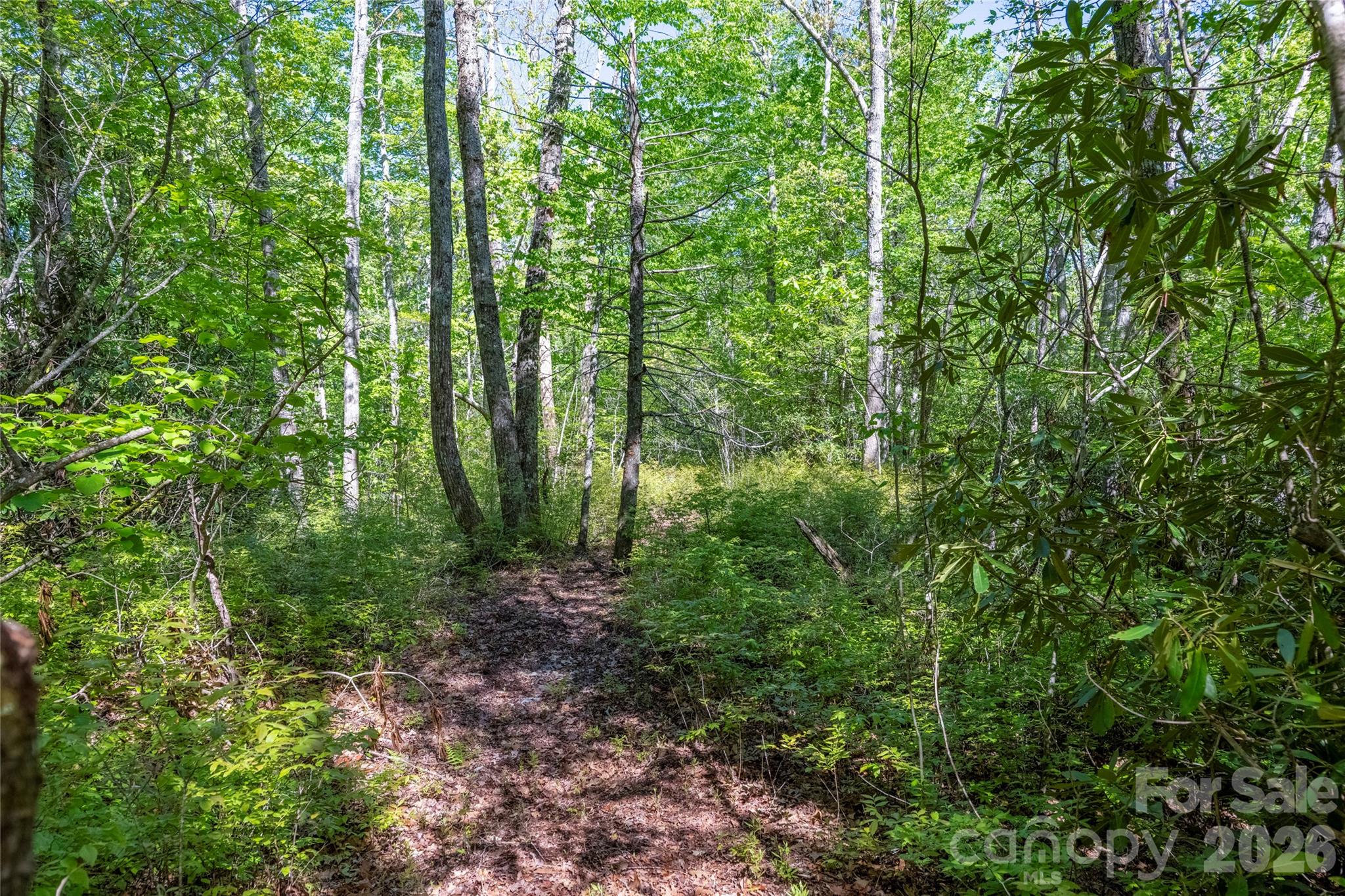 Tbd Long Rdg Road Lake Toxaway, NC 28747 - Photo 5 of 13