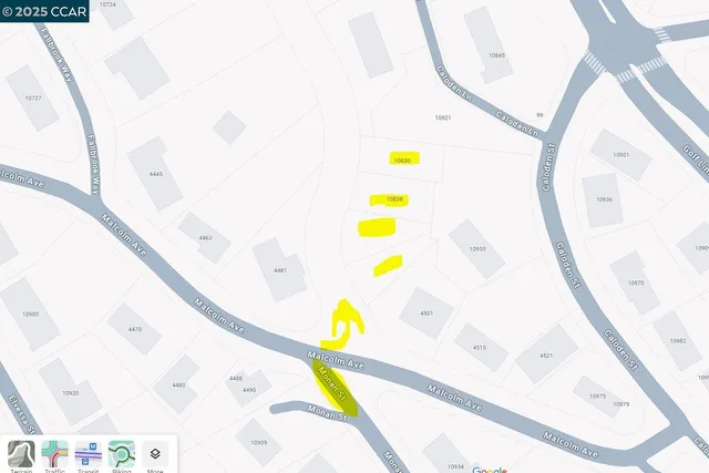 a plant that is in a yard