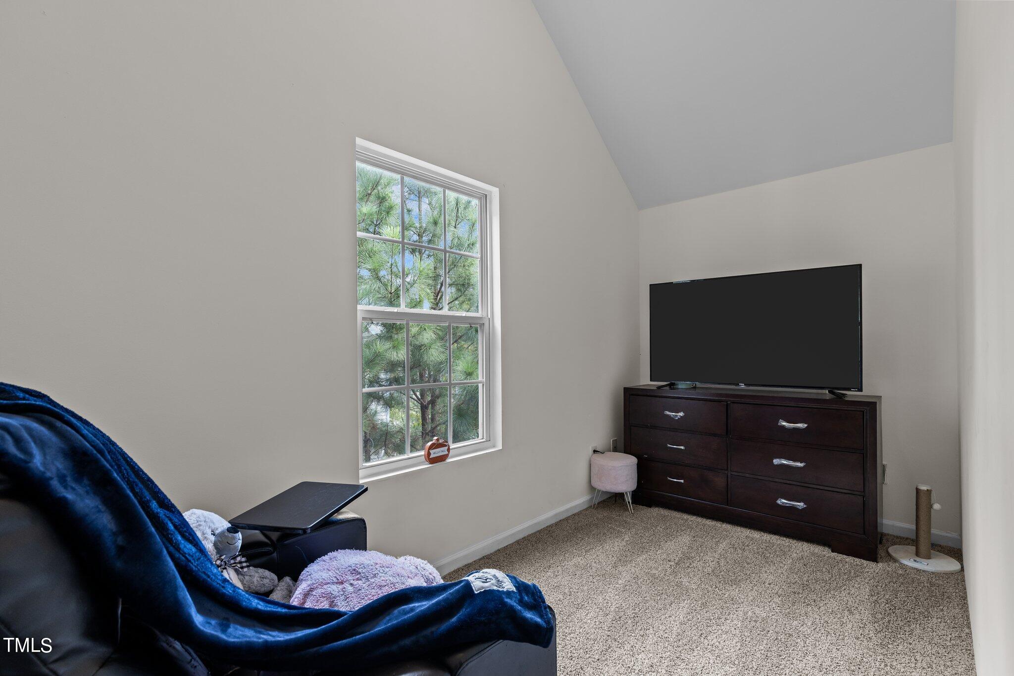 1021 Early Rise Street Raleigh, NC 27610 - Photo 29 of 34 26-web-or-mls-8Y3A6151