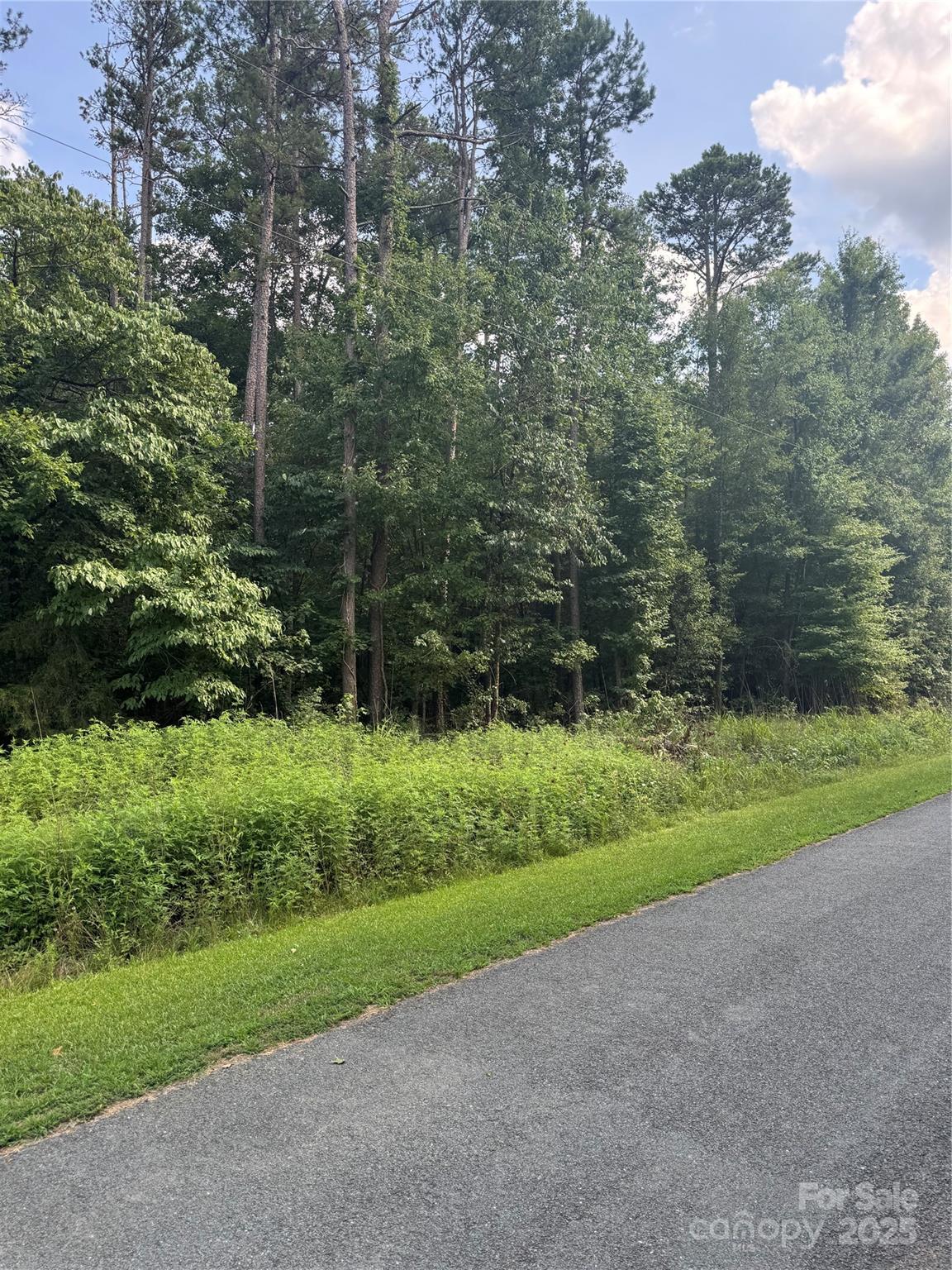 0 Raymond Helms Road Waxhaw, NC 28173 - Photo 1 of 3 Gallery Image 1