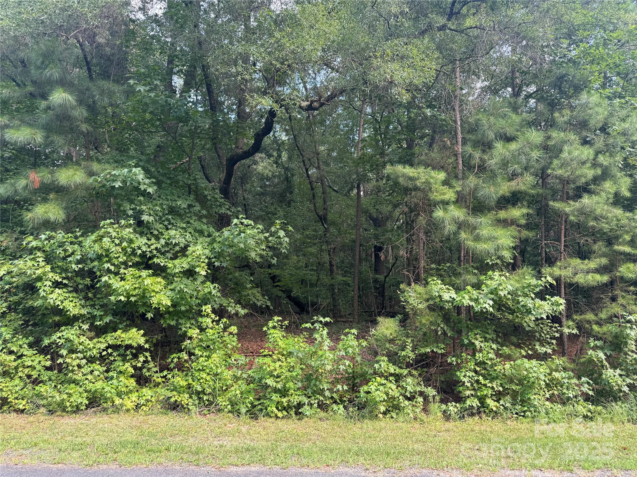 0 Raymond Helms Road Waxhaw, NC 28173 - Photo 2 of 3 Gallery Image 2