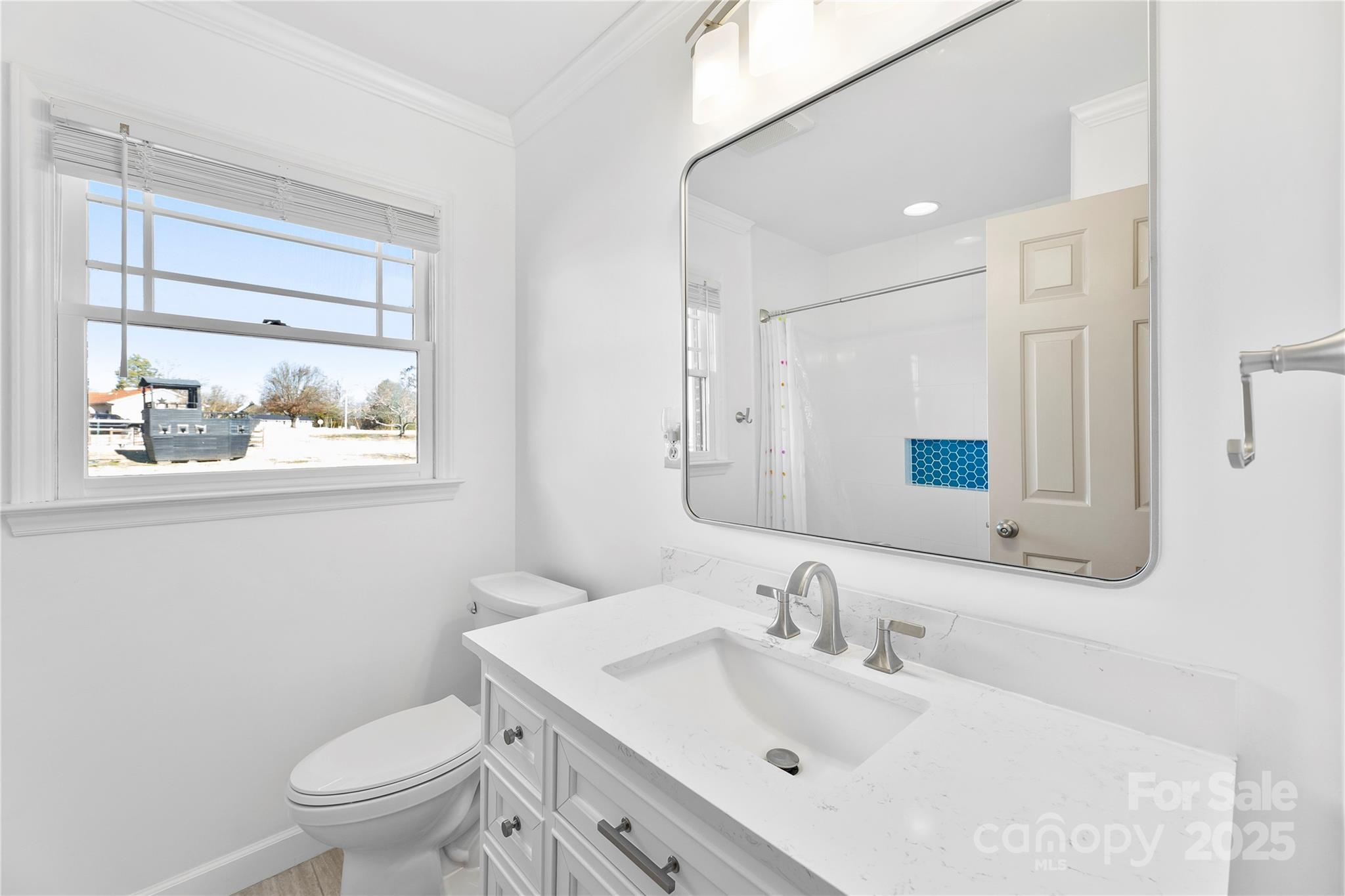 1351 Hardin Road Dallas, NC 28034 - Photo 19 of 39 a bathroom with a sink vanity mirror and toilet