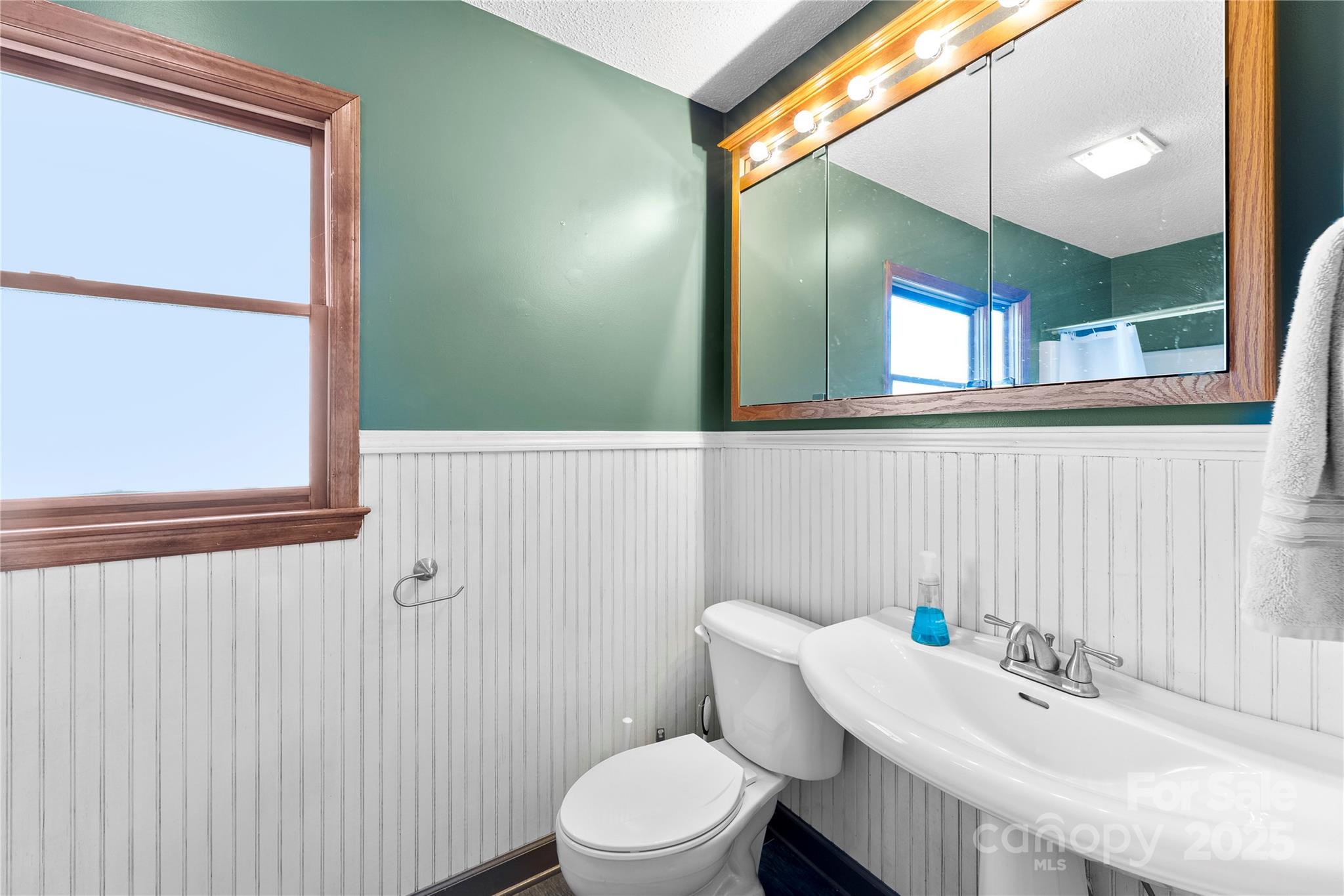 1351 Hardin Road Dallas, NC 28034 - Photo 30 of 39 a bathroom with a sink a toilet and mirror