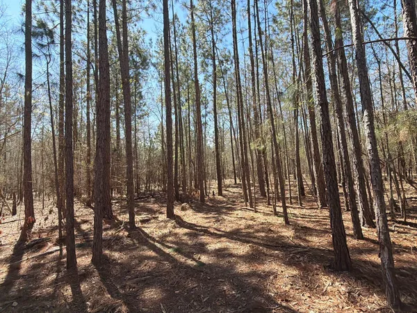 $69,900 | 10 Boise Cascade, Unit BHL 10, Bethune, SC 29009