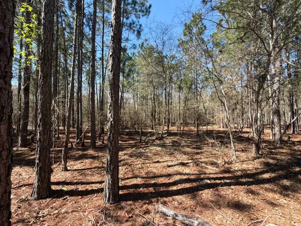 $69,900 | 10 Boise Cascade, Unit BHL 10, Bethune, SC 29009