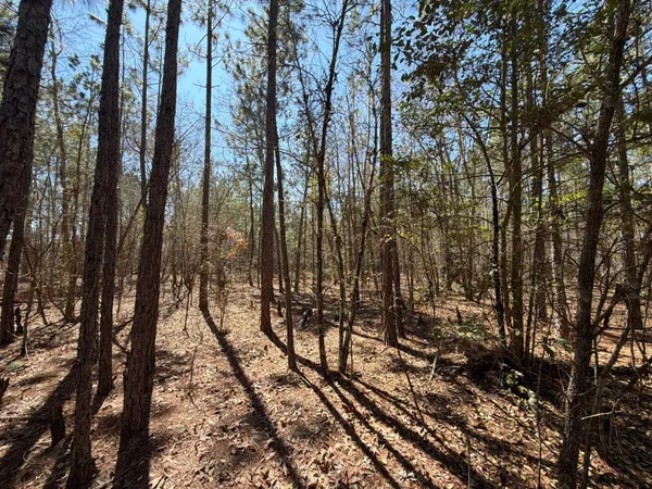 $69,900 | 10 Boise Cascade, Unit BHL 10, Bethune, SC 29009