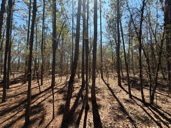 $69,900 | 10 Boise Cascade, Unit BHL 10, Bethune, SC 29009