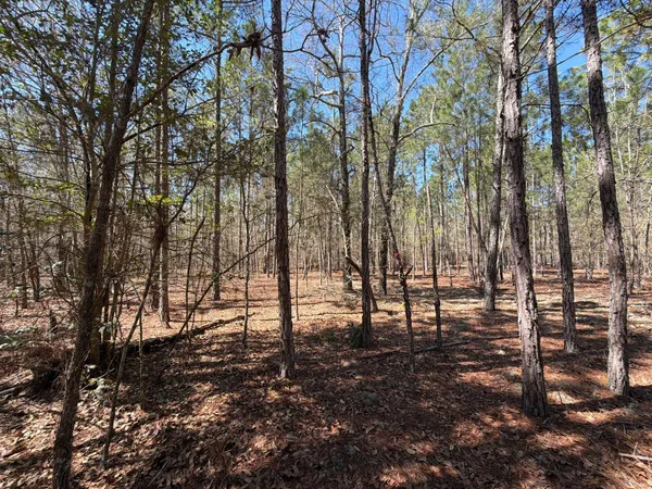 $69,900 | 10 Boise Cascade, Unit BHL 10, Bethune, SC 29009