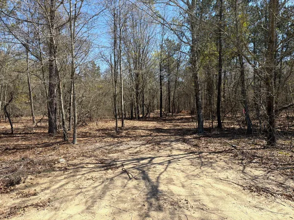 $69,900 | 10 Boise Cascade, Unit BHL 10, Bethune, SC 29009