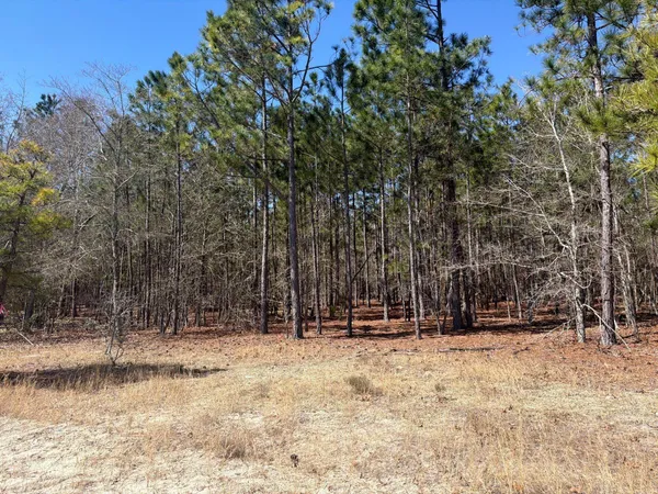 $69,900 | 10 Boise Cascade, Unit BHL 10, Bethune, SC 29009