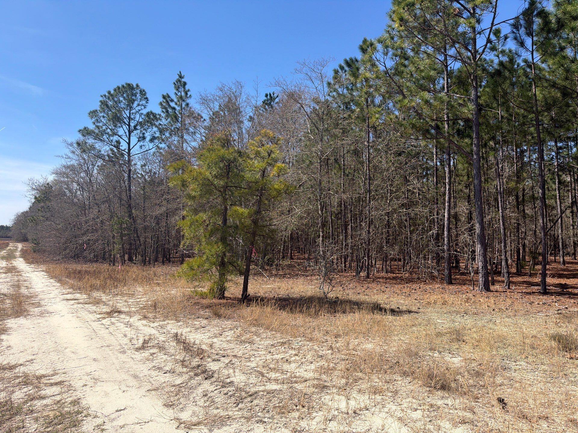10 Boise Cascade, Unit BHL 10 Bethune, SC 29009 - Photo 22 of 22 2-Mar 18 2026 04_25pm-W4Z5