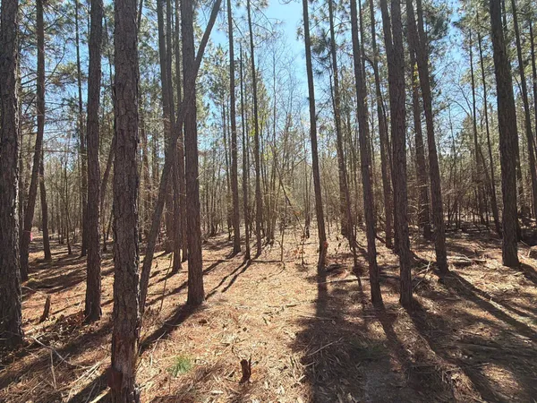 $69,900 | 10 Boise Cascade, Unit BHL 10, Bethune, SC 29009