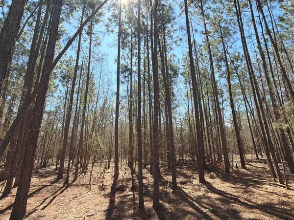 $69,900 | 10 Boise Cascade, Unit BHL 10, Bethune, SC 29009