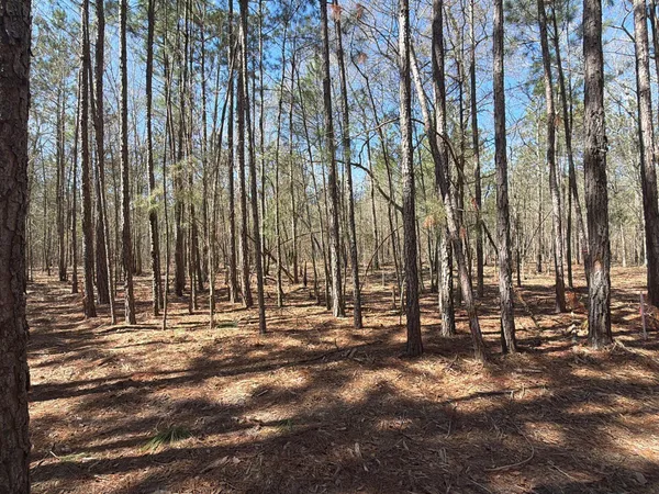 $69,900 | 10 Boise Cascade, Unit BHL 10, Bethune, SC 29009