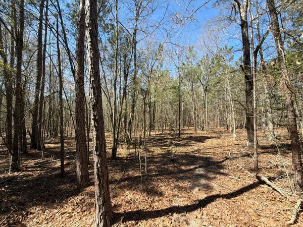 $69,900 | 10 Boise Cascade, Unit BHL 10, Bethune, SC 29009