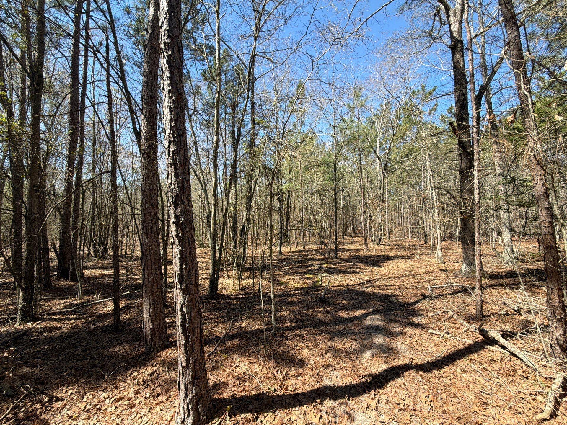 10 Boise Cascade, Unit BHL 10 Bethune, SC 29009 - Photo 7 of 22 17-Mar 18 2026 04_33pm-7Xx4
