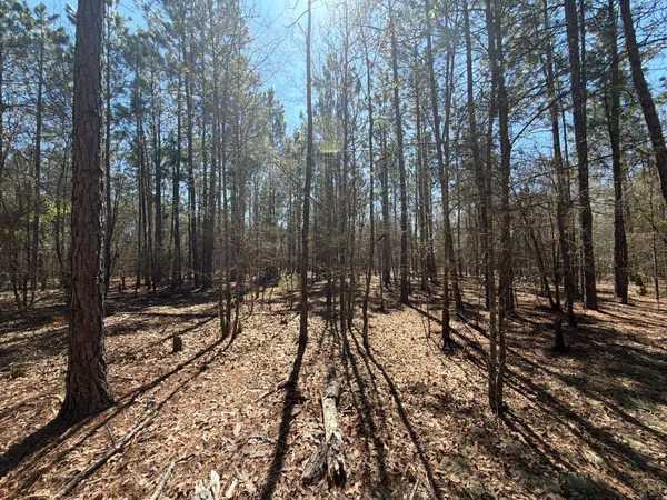 $69,900 | 10 Boise Cascade, Unit BHL 10, Bethune, SC 29009