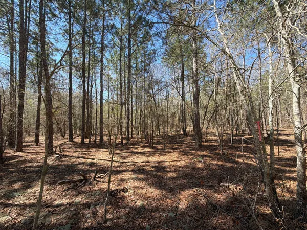 $69,900 | 10 Boise Cascade, Unit BHL 10, Bethune, SC 29009