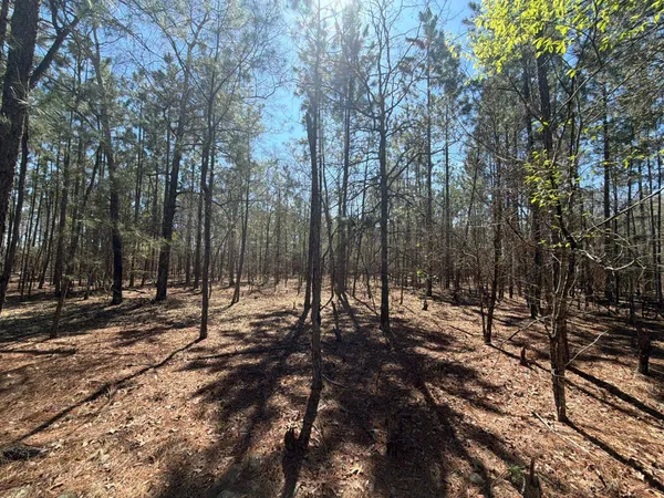 $69,900 | 10 Boise Cascade, Unit BHL 10, Bethune, SC 29009