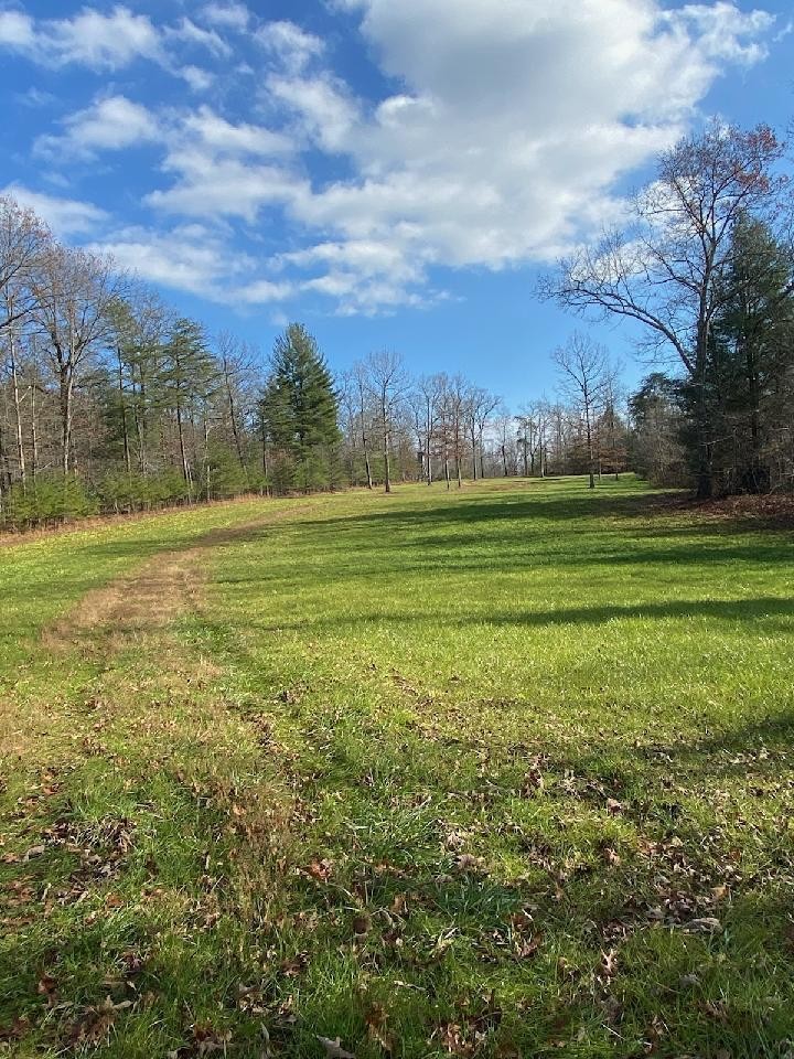 0 Wash Pelfrey Road Spring City, TN 37381 - Photo 2 of 20 Gallery Image 2
