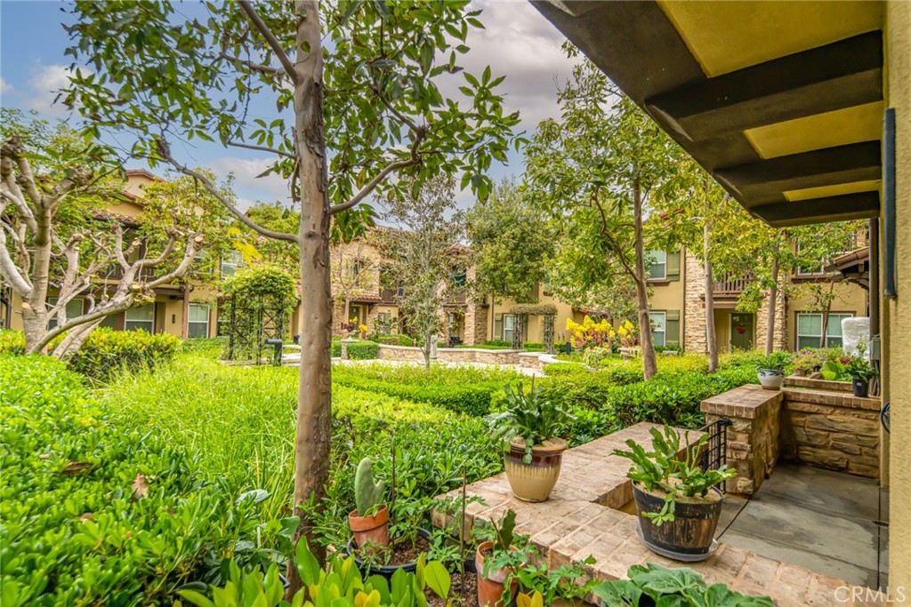 233 Danbrook Irvine, CA 92603 - Photo 8 of 32 a view of a garden with plants and large trees