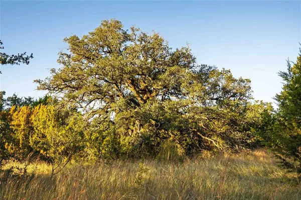 a view of lake with green space