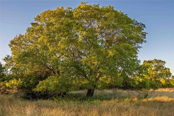 a black and white photo of a room