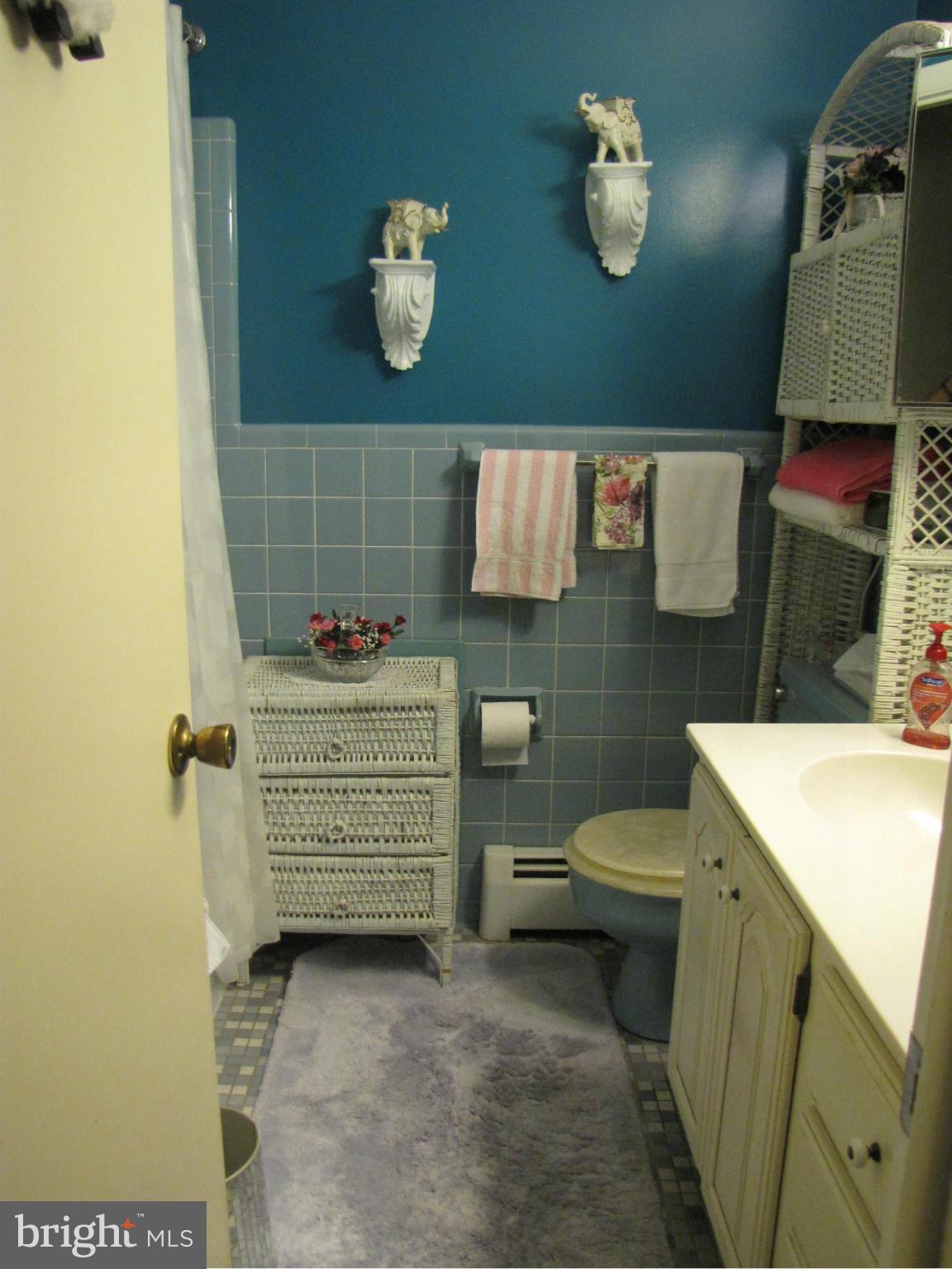 11430 Mapleview Drive Silver Spring, MD 20902 - Photo 5 of 30 Bath