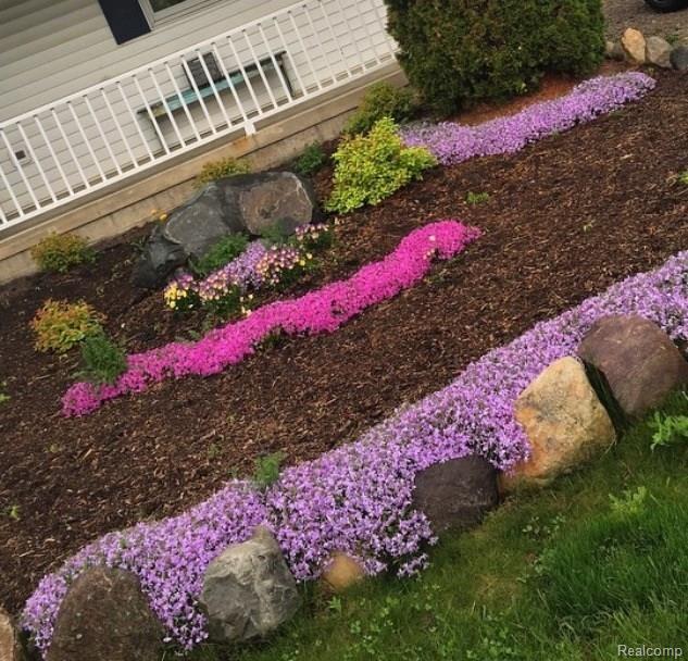 4688 Bradley Road Gregory, MI 48137 - Photo 2 of 22 Summer flowers