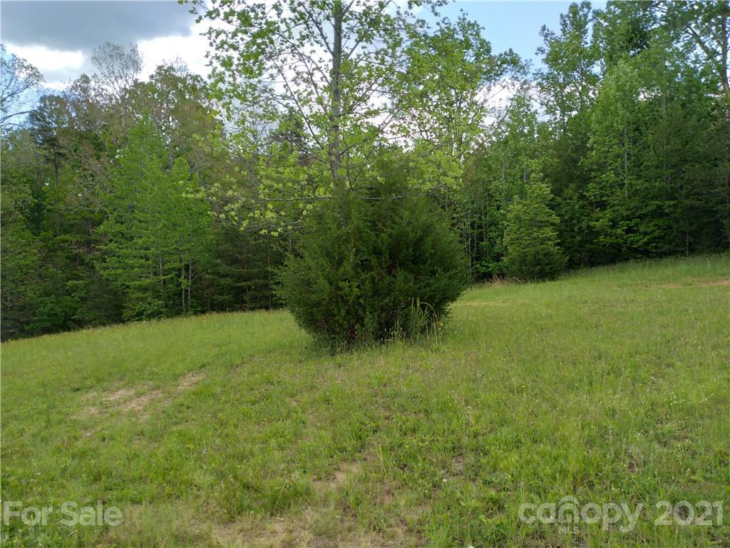 0 Terry Road Ellenboro, NC 28040 - Photo 2 of 3 Gallery Image 2