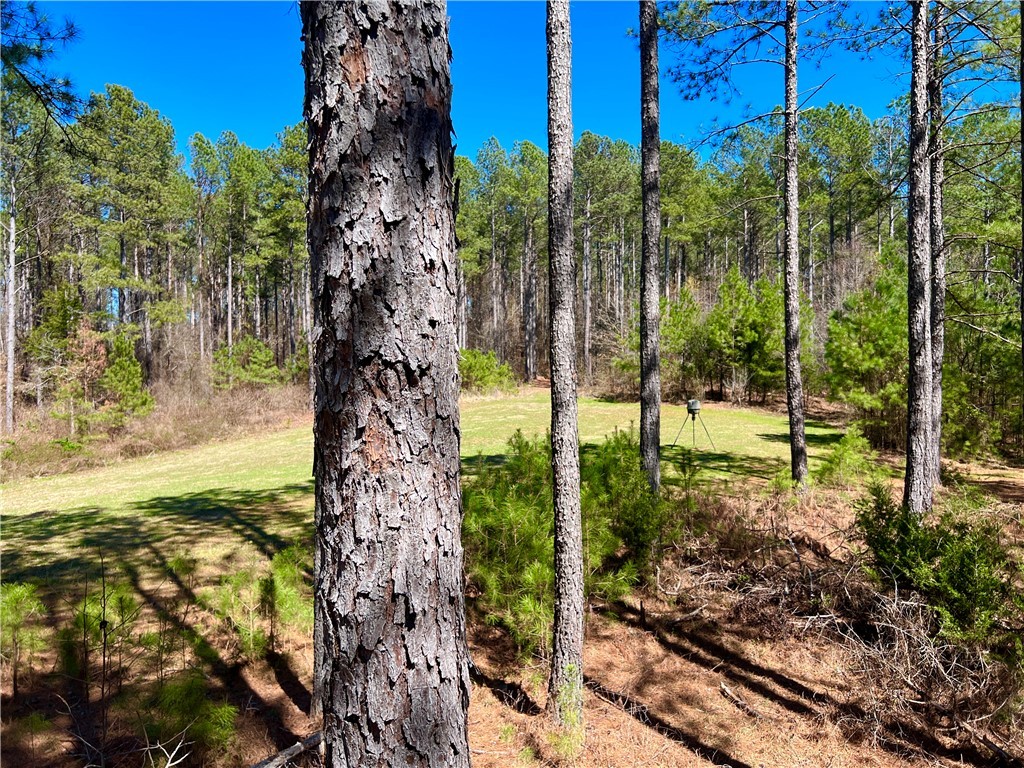 0 Sarah Simpson Road Iva, SC 29655 - Photo 11 of 37