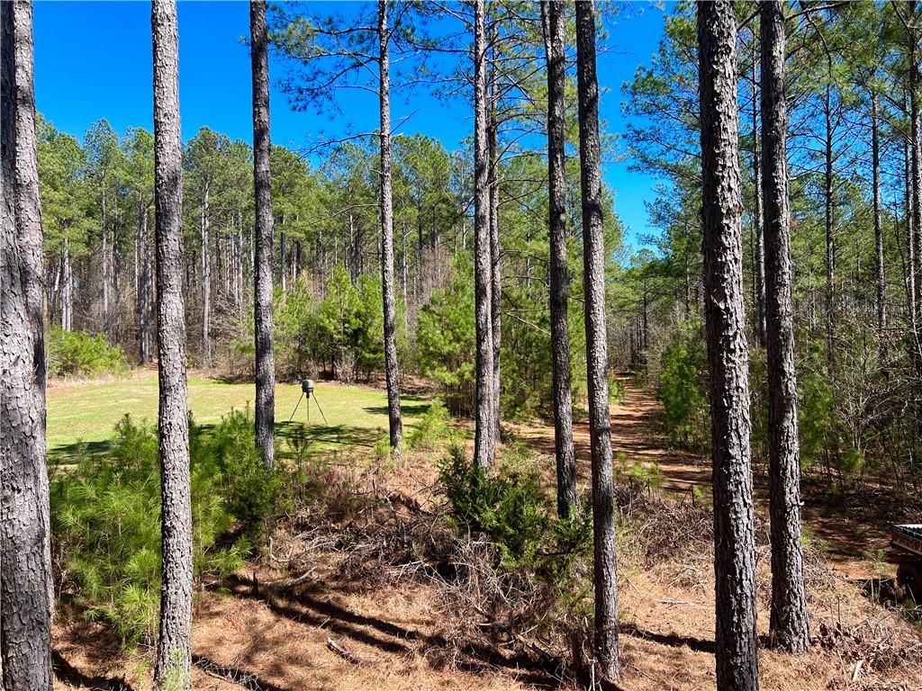 0 Sarah Simpson Road Iva, SC 29655 - Photo 13 of 37