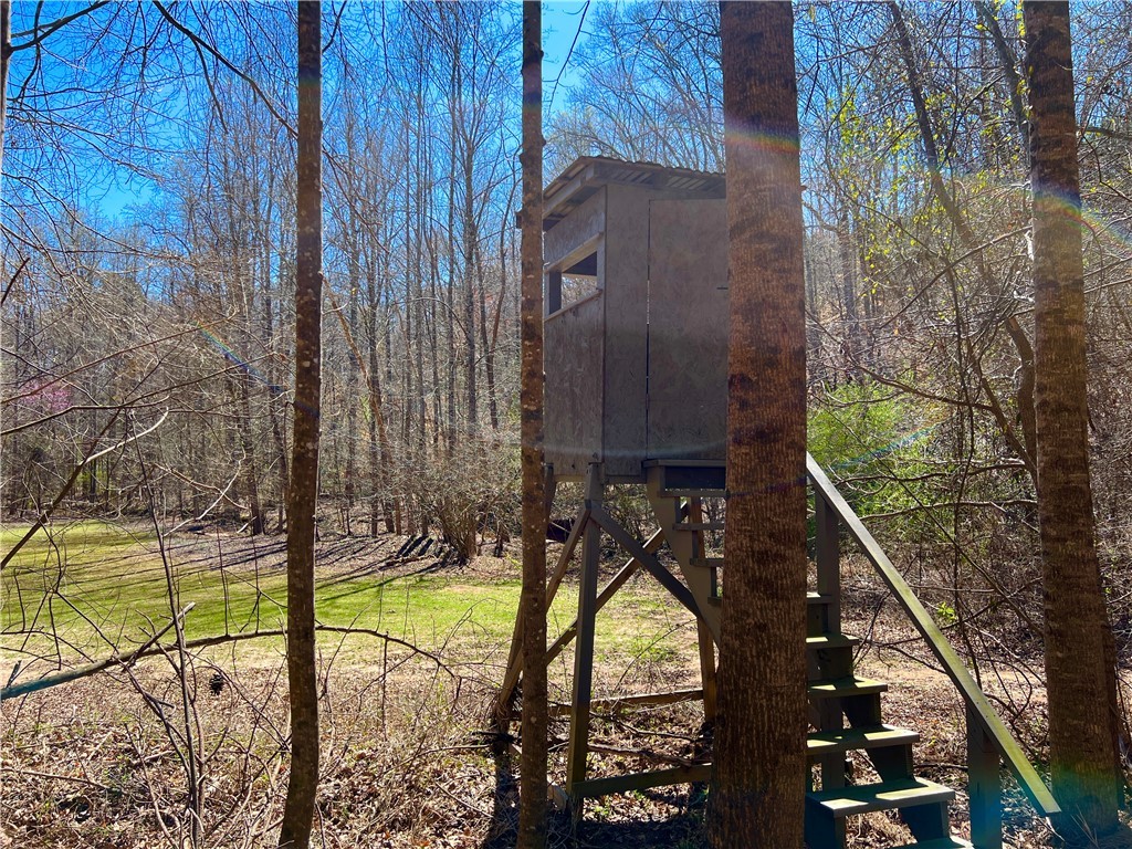 0 Sarah Simpson Road Iva, SC 29655 - Photo 14 of 37