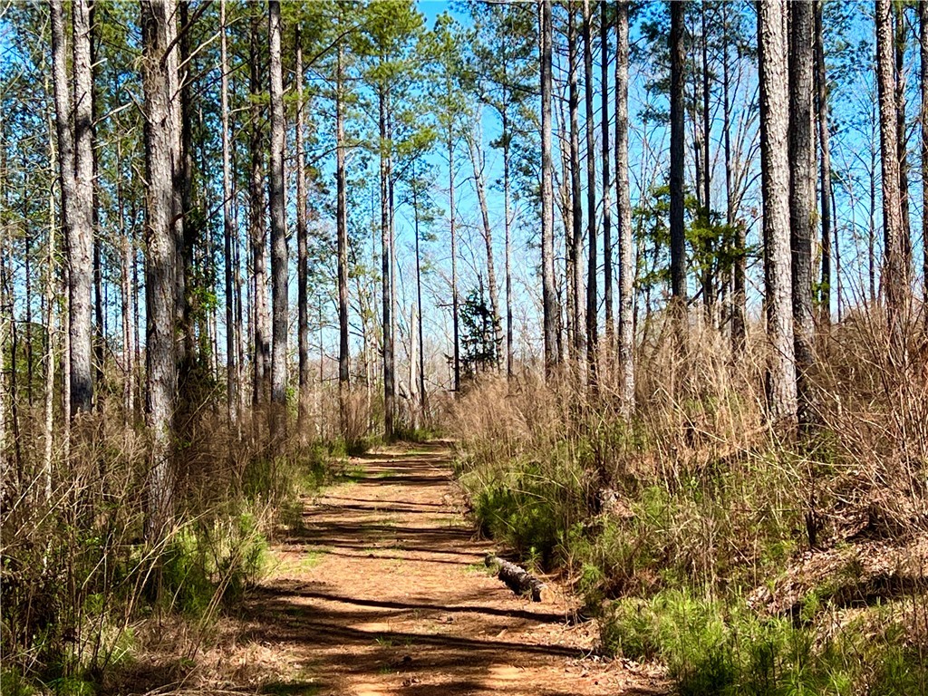 0 Sarah Simpson Road Iva, SC 29655 - Photo 15 of 37