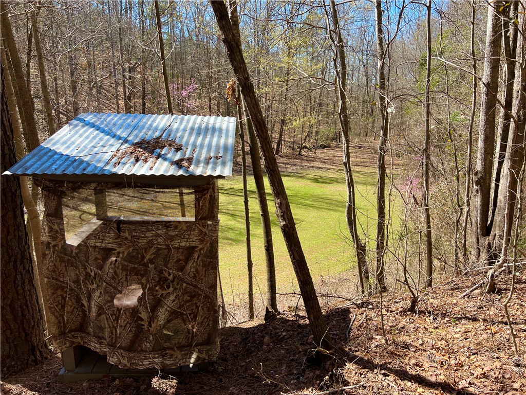 0 Sarah Simpson Road Iva, SC 29655 - Photo 16 of 37