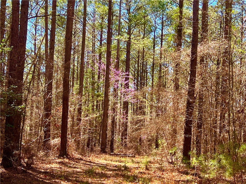 0 Sarah Simpson Road Iva, SC 29655 - Photo 17 of 37