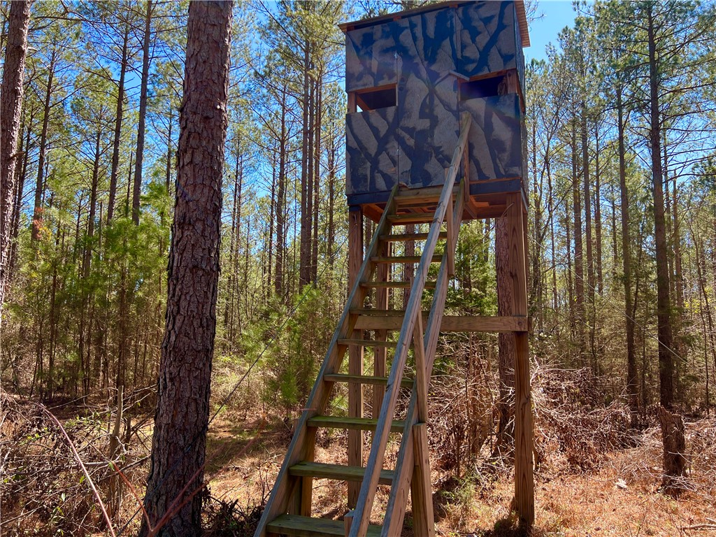 0 Sarah Simpson Road Iva, SC 29655 - Photo 20 of 36