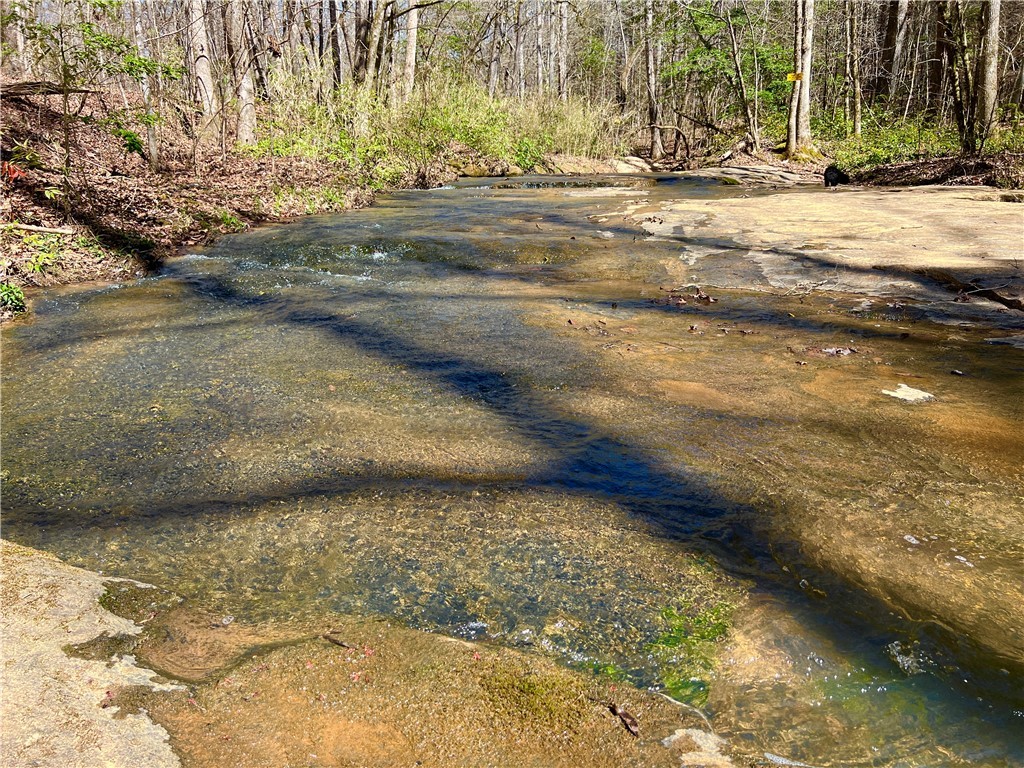 0 Sarah Simpson Road Iva, SC 29655 - Photo 2 of 37