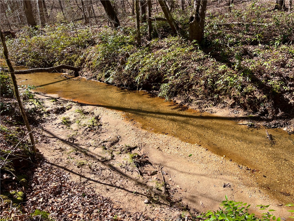 0 Sarah Simpson Road Iva, SC 29655 - Photo 21 of 37