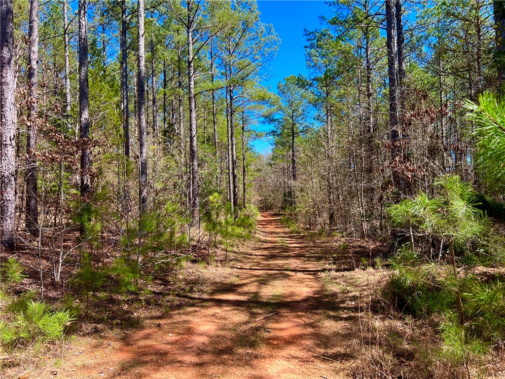 0 Sarah Simpson Road Iva, SC 29655 - Photo 23 of 36