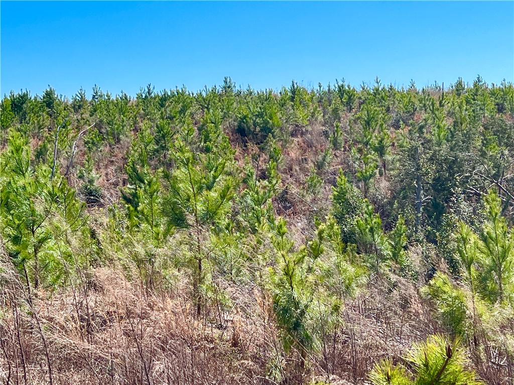 0 Sarah Simpson Road Iva, SC 29655 - Photo 26 of 37