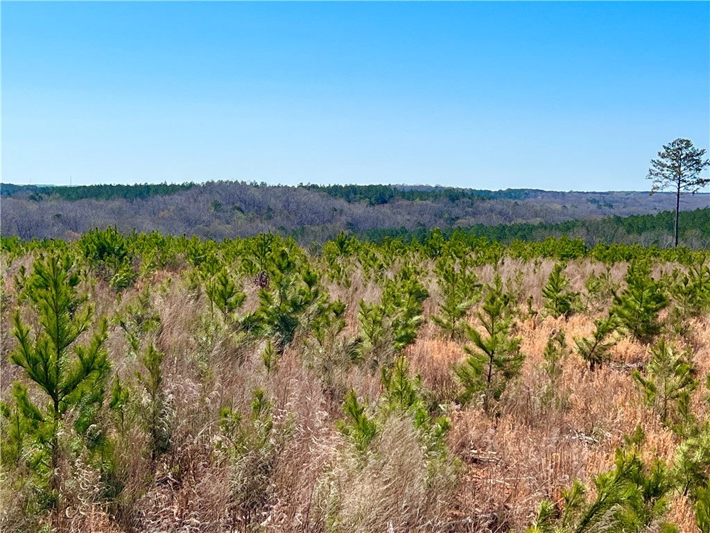 0 Sarah Simpson Road Iva, SC 29655 - Photo 26 of 36