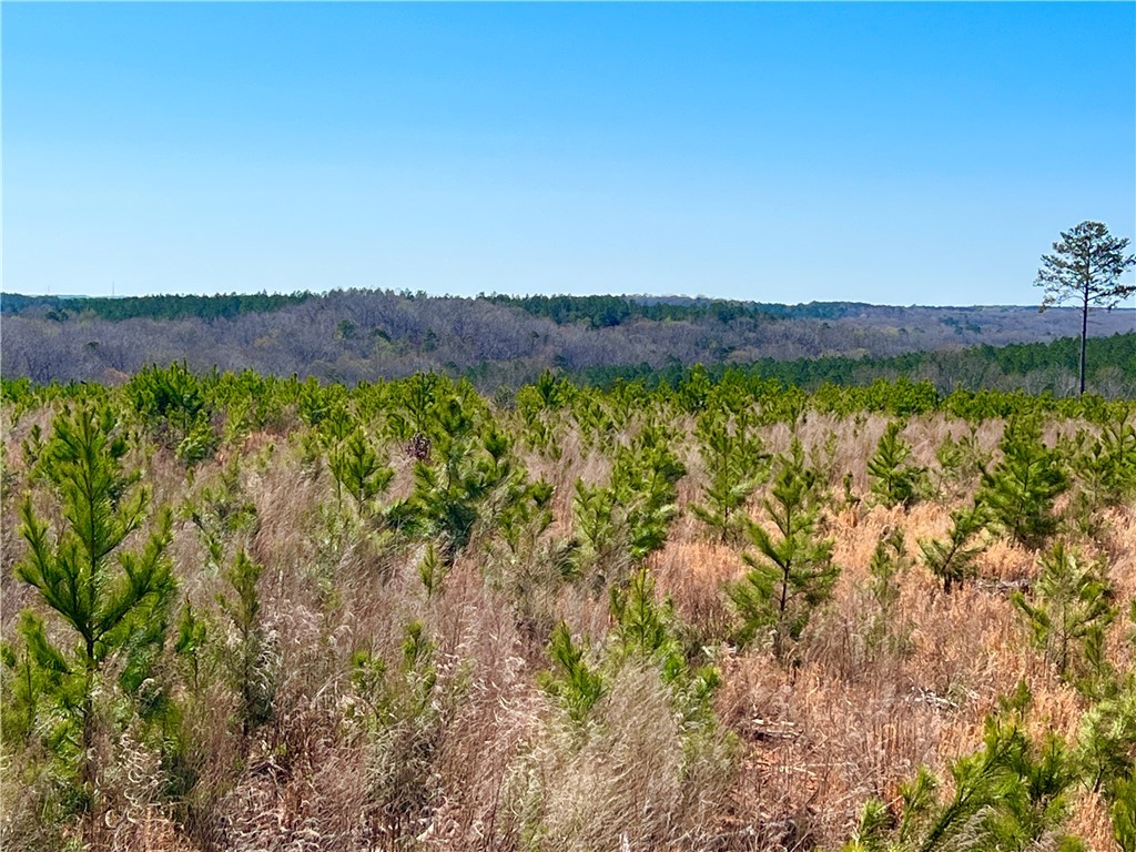 0 Sarah Simpson Road Iva, SC 29655 - Photo 27 of 37